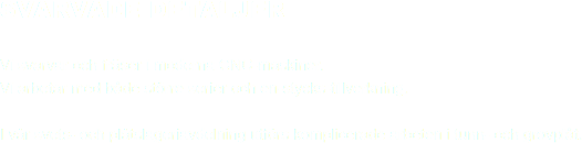 
SVARVADE DETALJER Vi svarvar och fräser i moderna CNC-maskiner.
Vi arbetar med både större serier och en-stycks-tillverkning. I vår svets- och plåtslageriavdelning utförs komplicerade arbeten i tunn- och grovplåt. 
